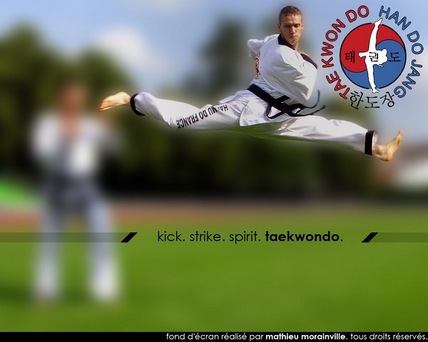 Taekwondo_Wallpaper__2_by_Eligius57.jpg