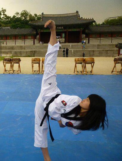 taekwondo-yupchagi-picture-1.jpg