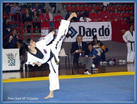http://ngo-civil.persiangig.com/image/razmi%20sport/taekwondo3.jpg