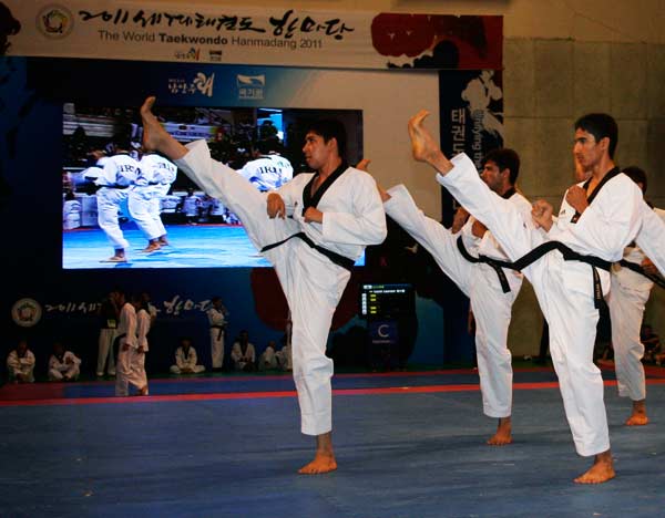 the-world-taekwondo-hanmadang-2011.jpg